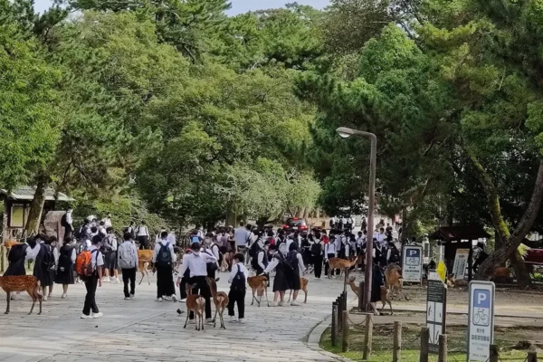 Walking to Todaiji