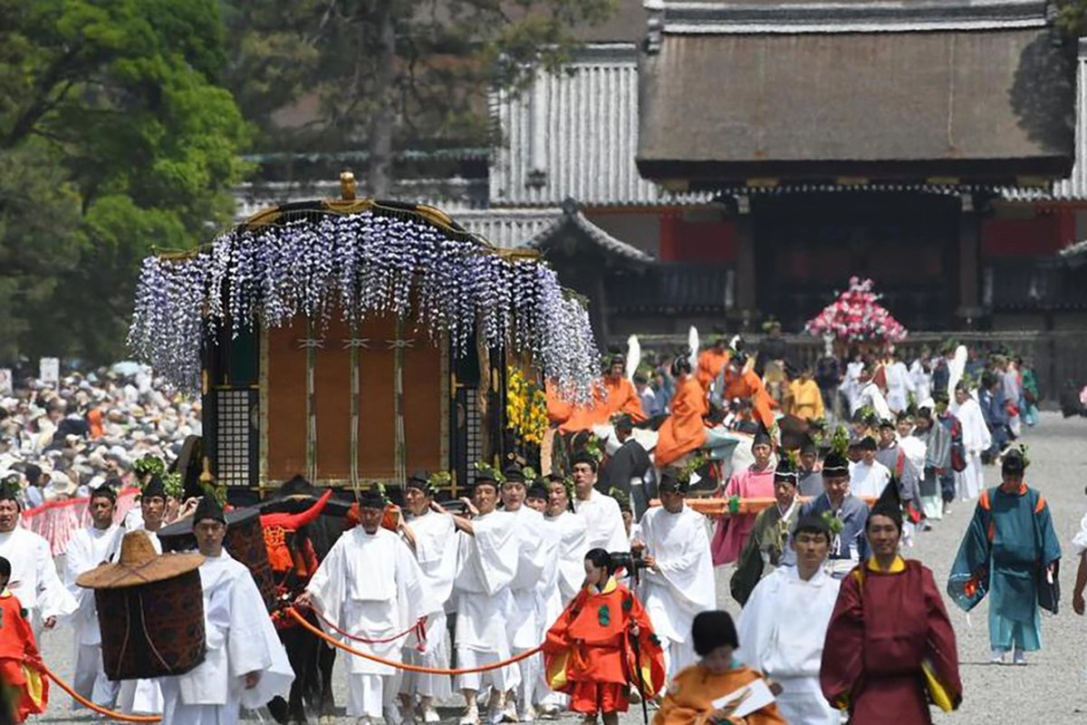 Aoi Matsuri