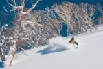 Niseko Powder