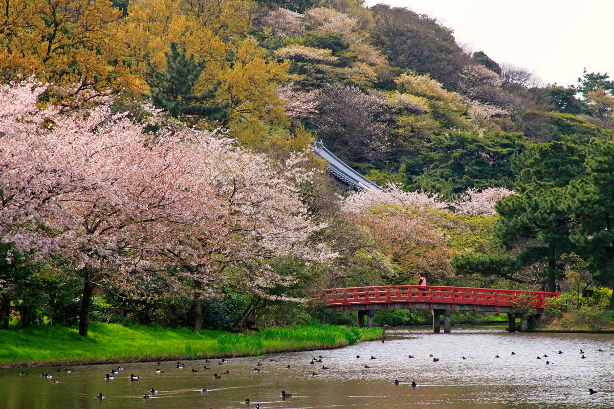 Sankeien Garden