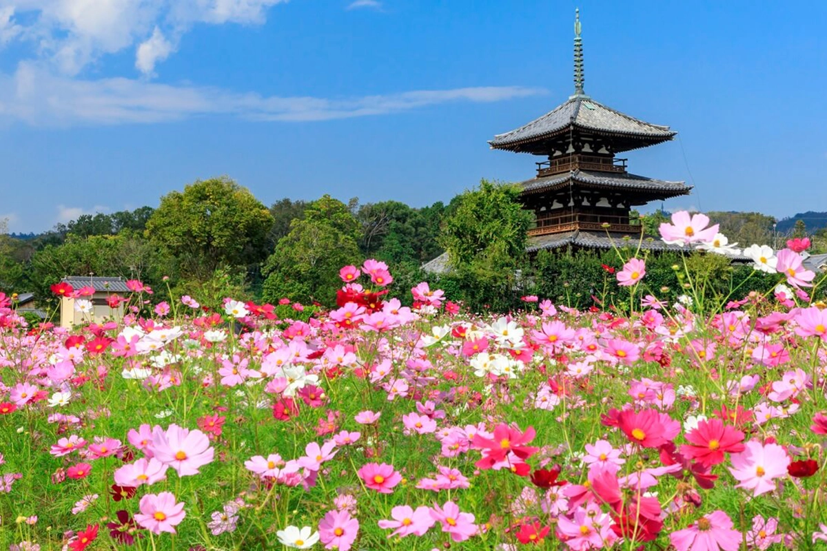 Hokki-ji